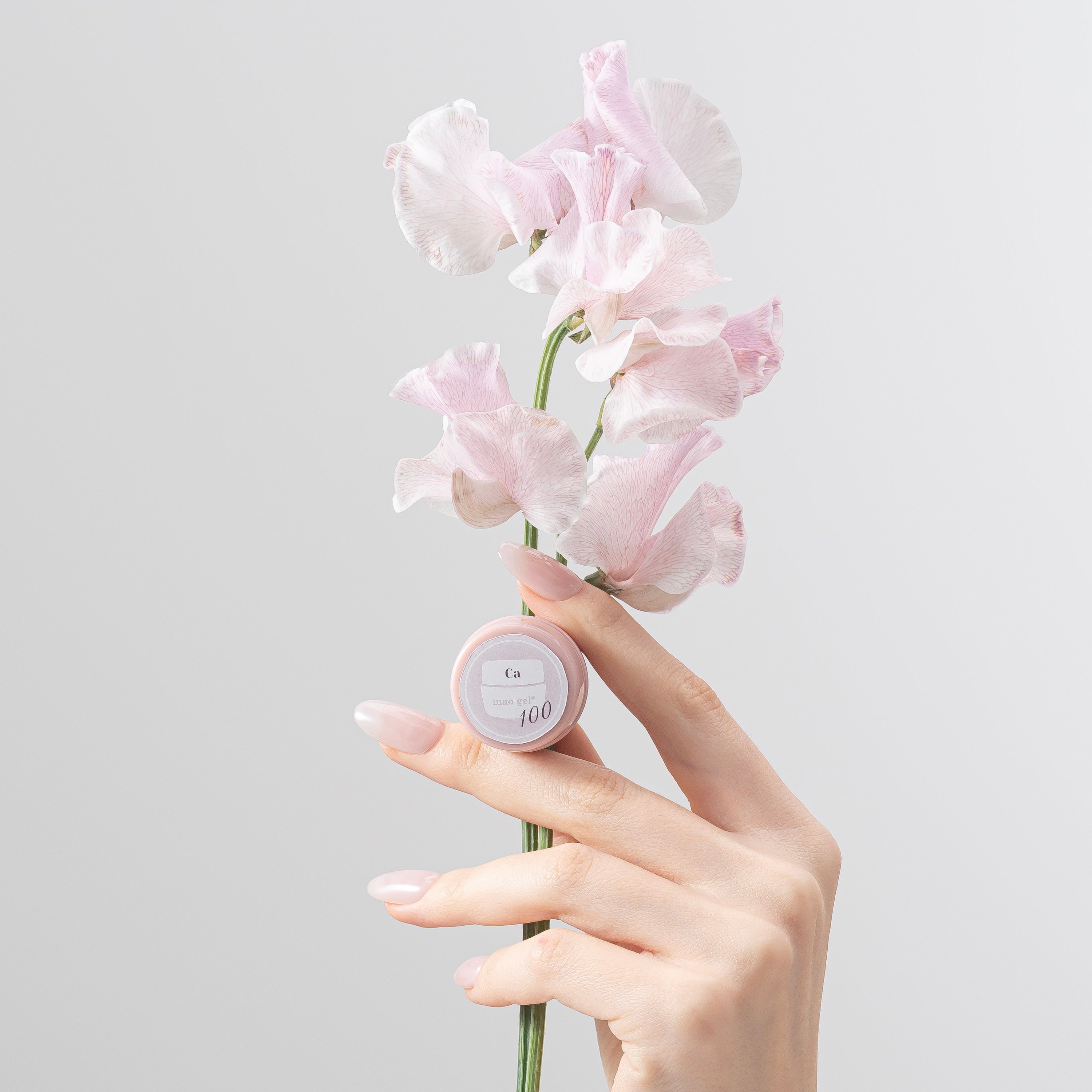 100 Ca【アウトレット商品】