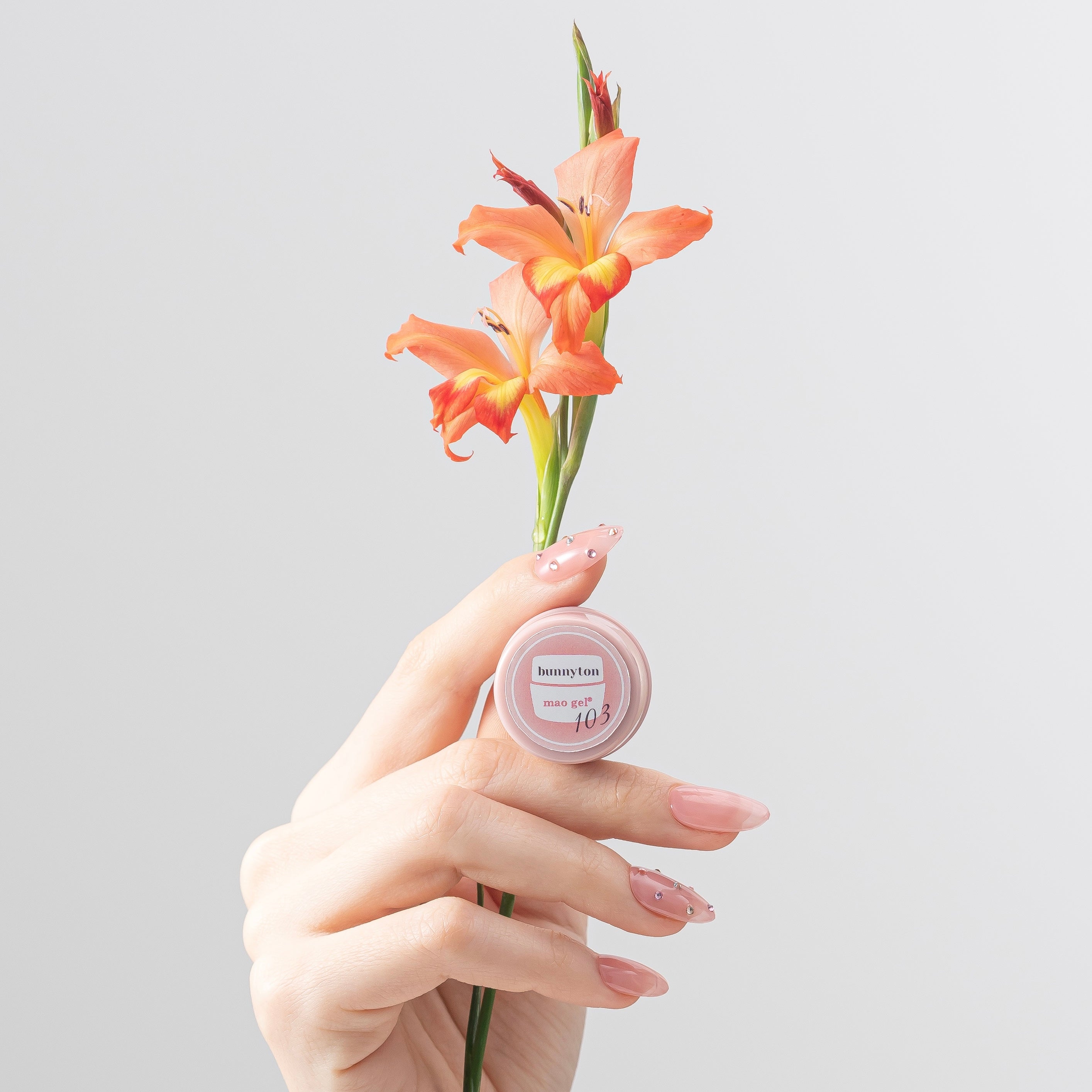 103 bunnyton【アウトレット商品】