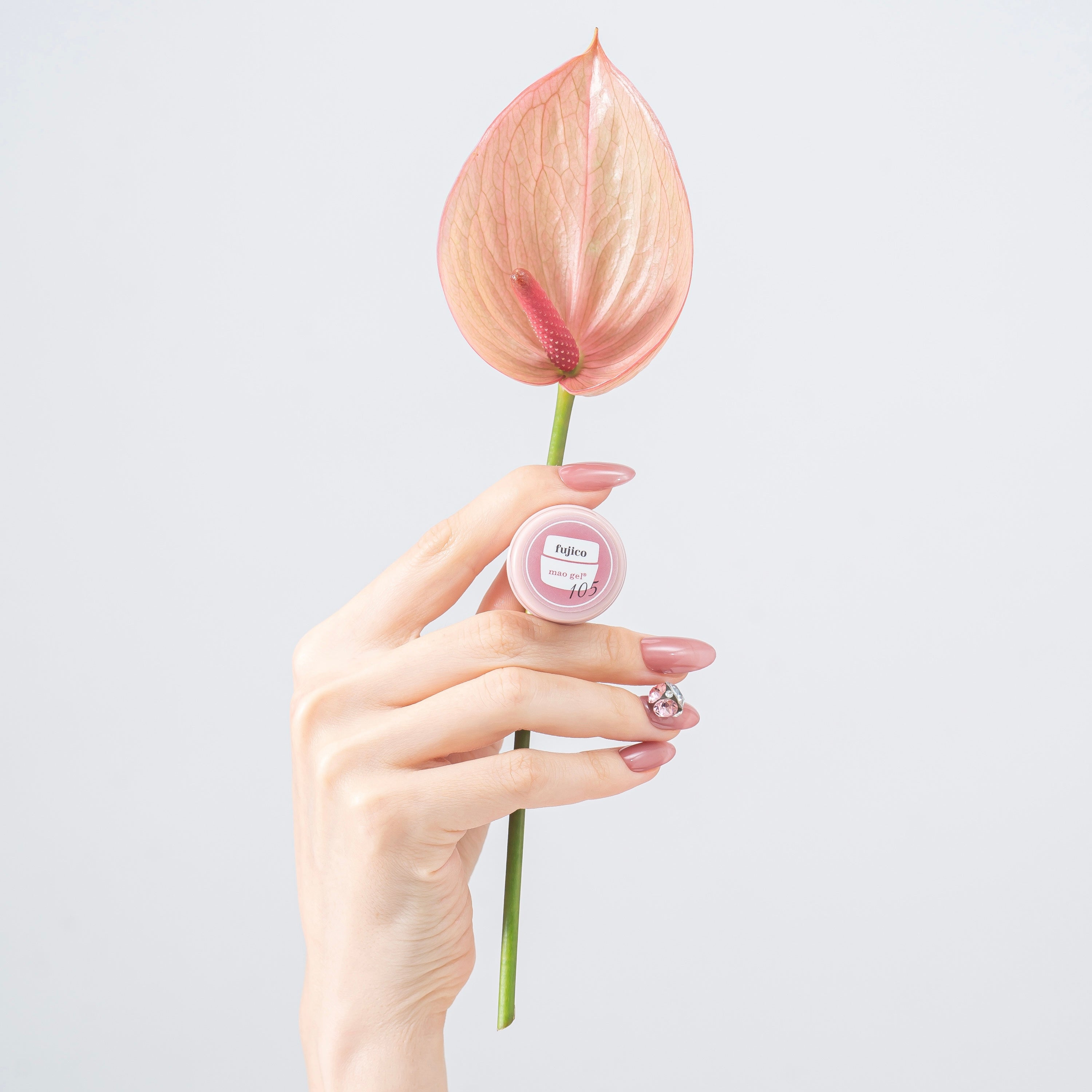 105 fujico【アウトレット商品】