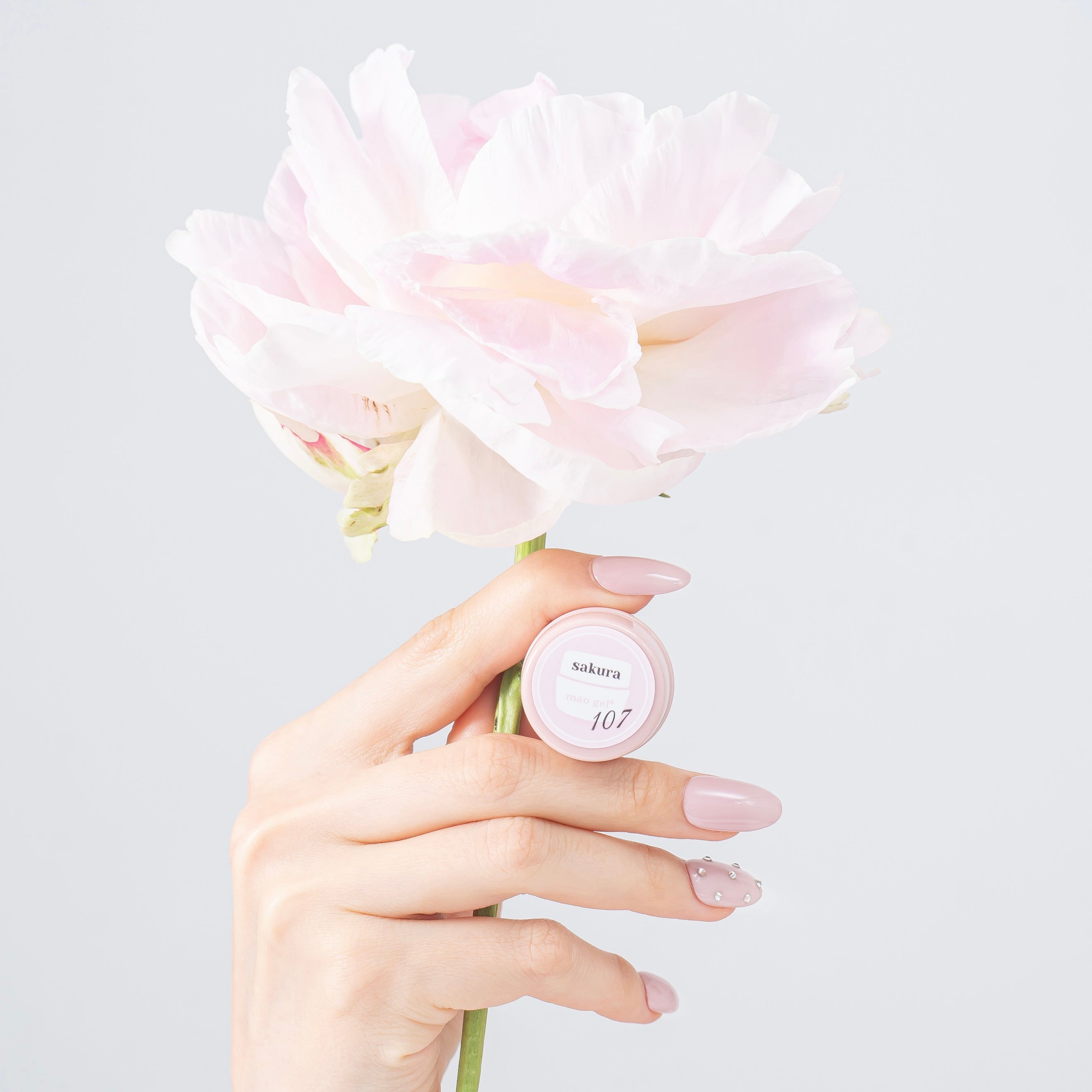 107 sakura