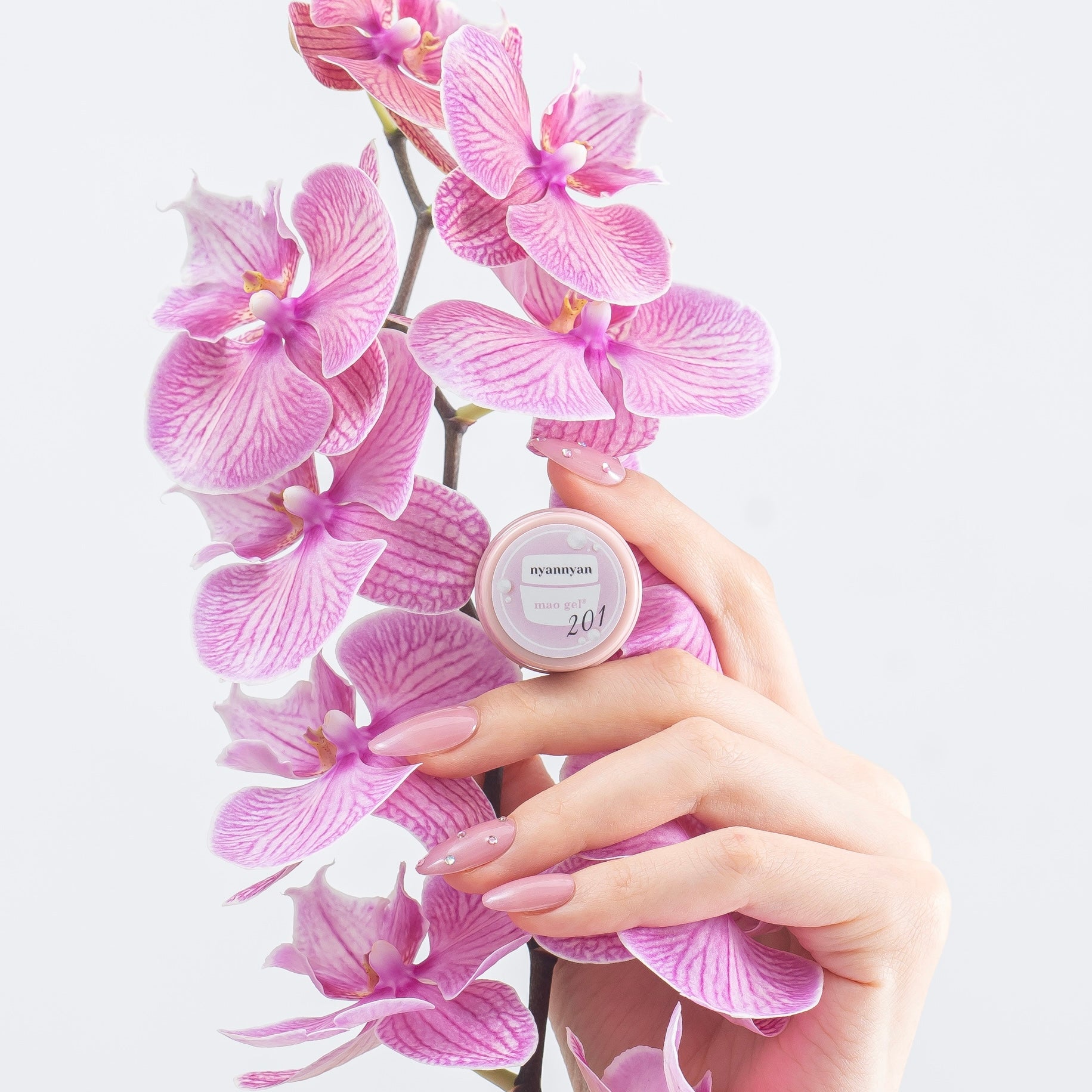 201 nyannyan【アウトレット商品】