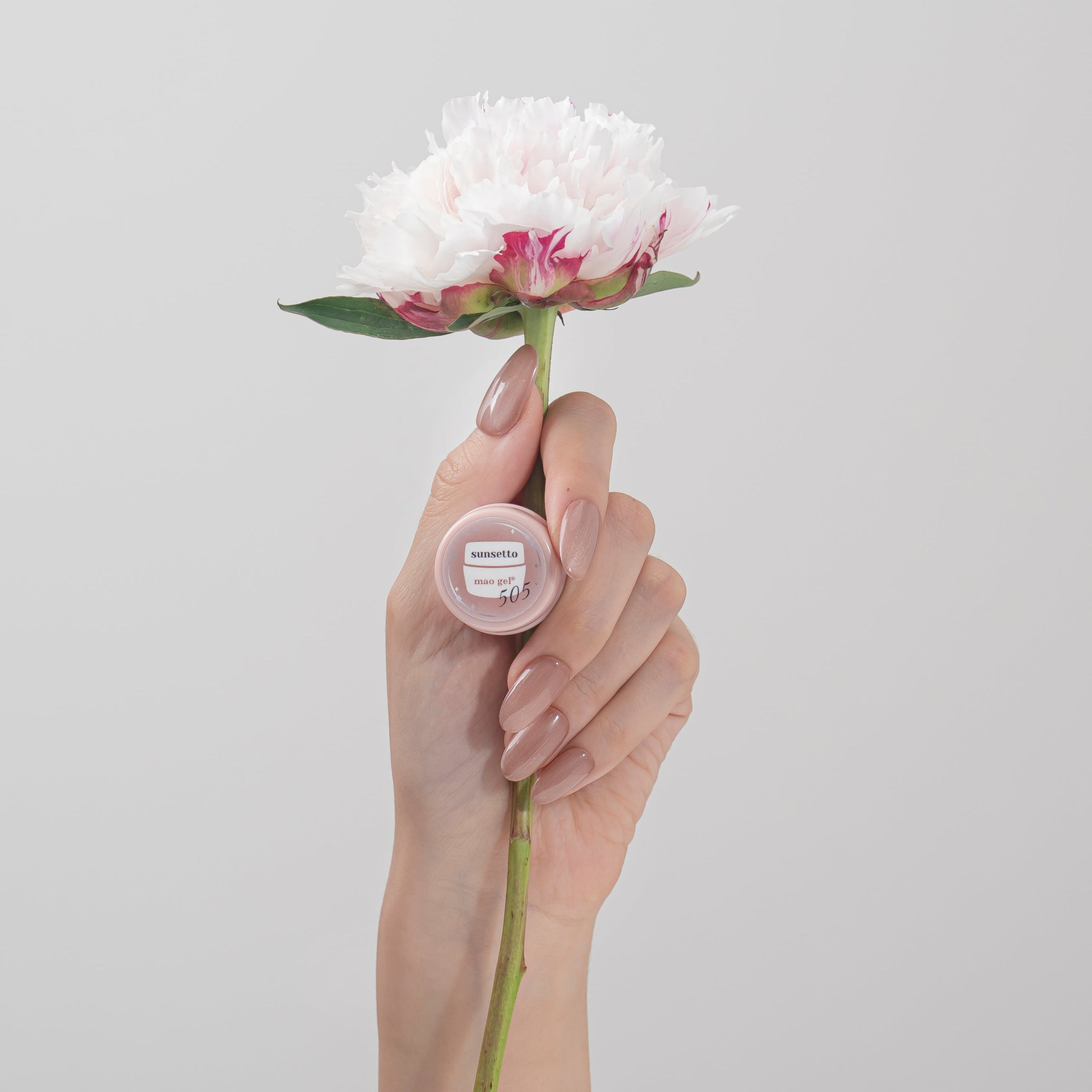 505 sunsetto【アウトレット商品】