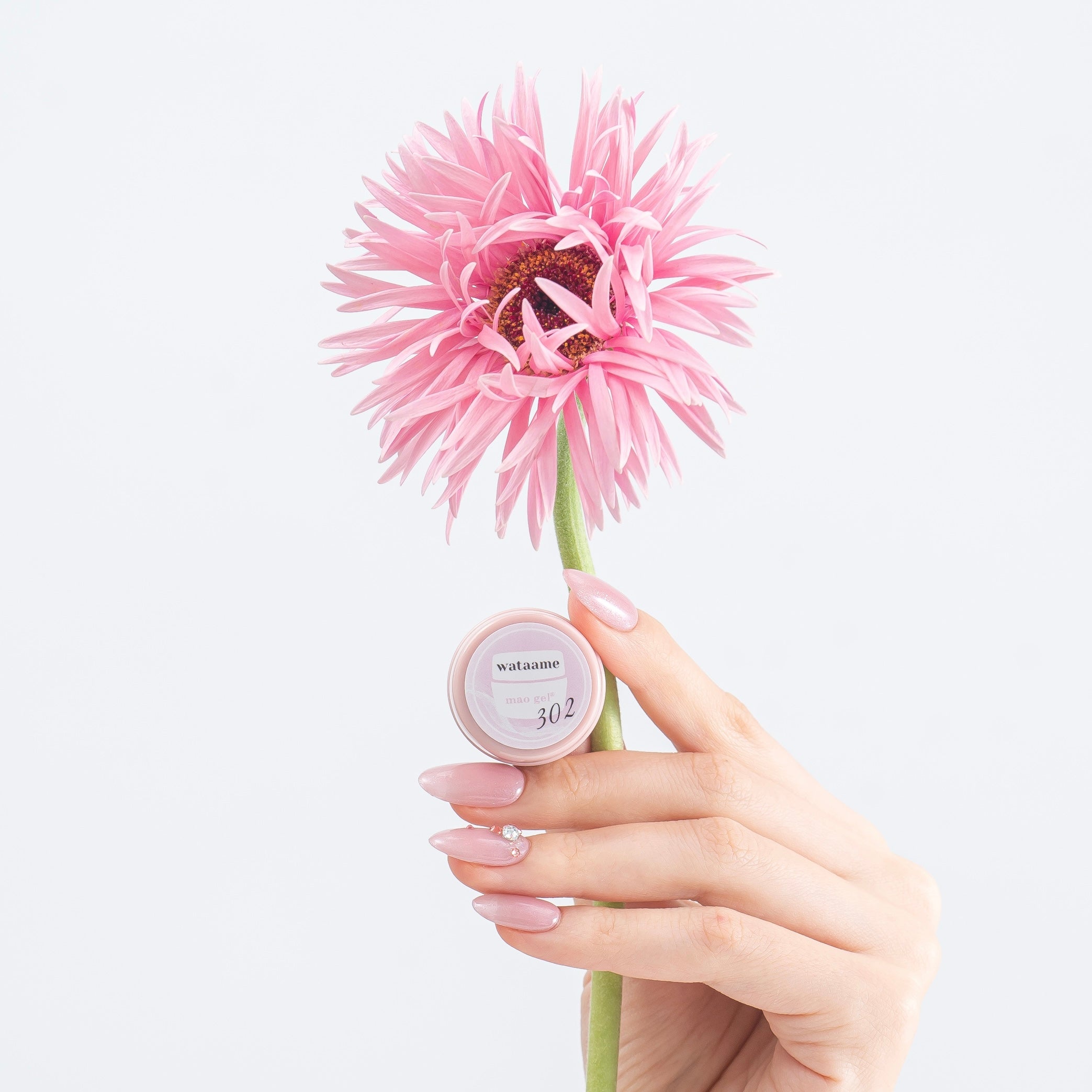 302 wataame【アウトレット商品】