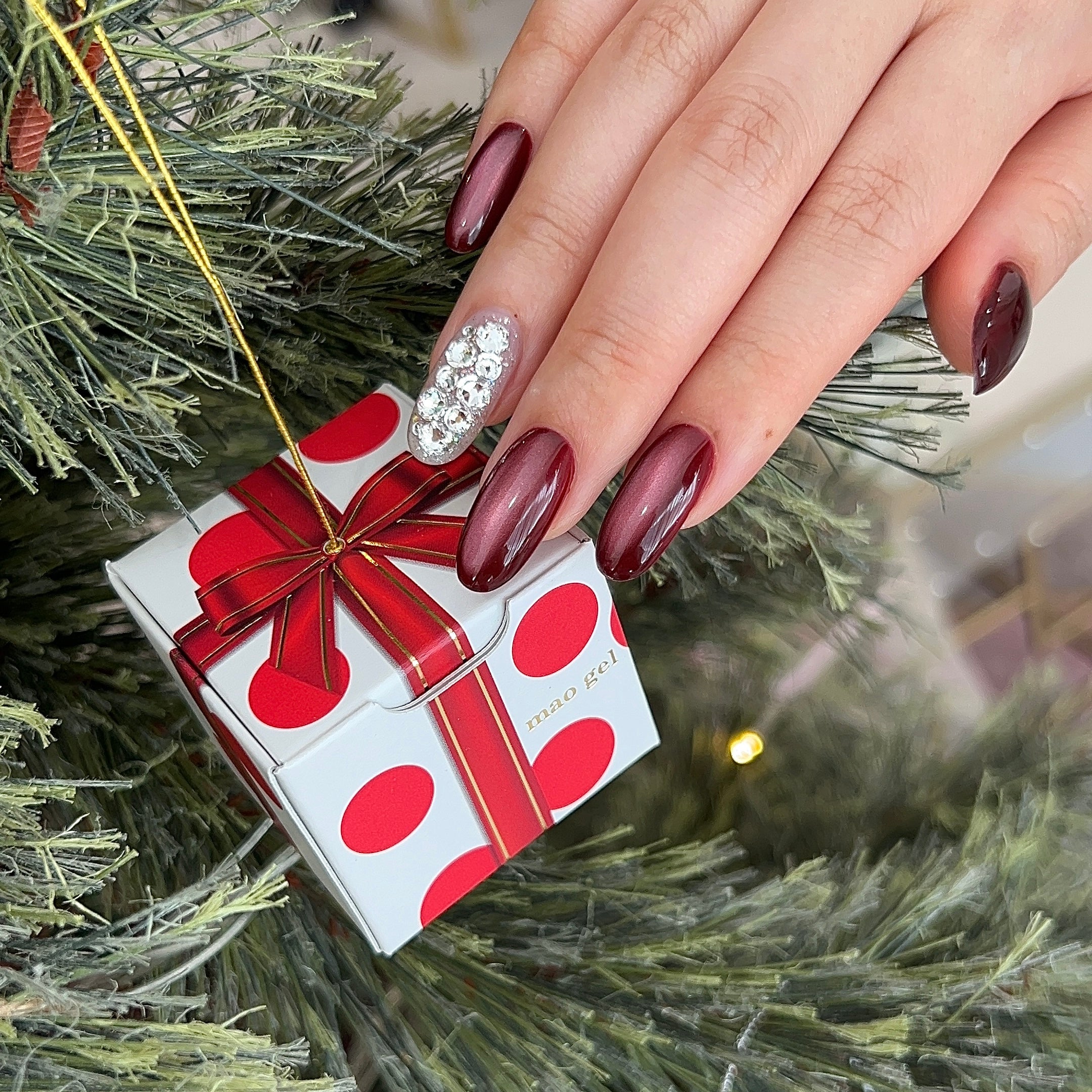 マオジェルクリスマスコフレ2025