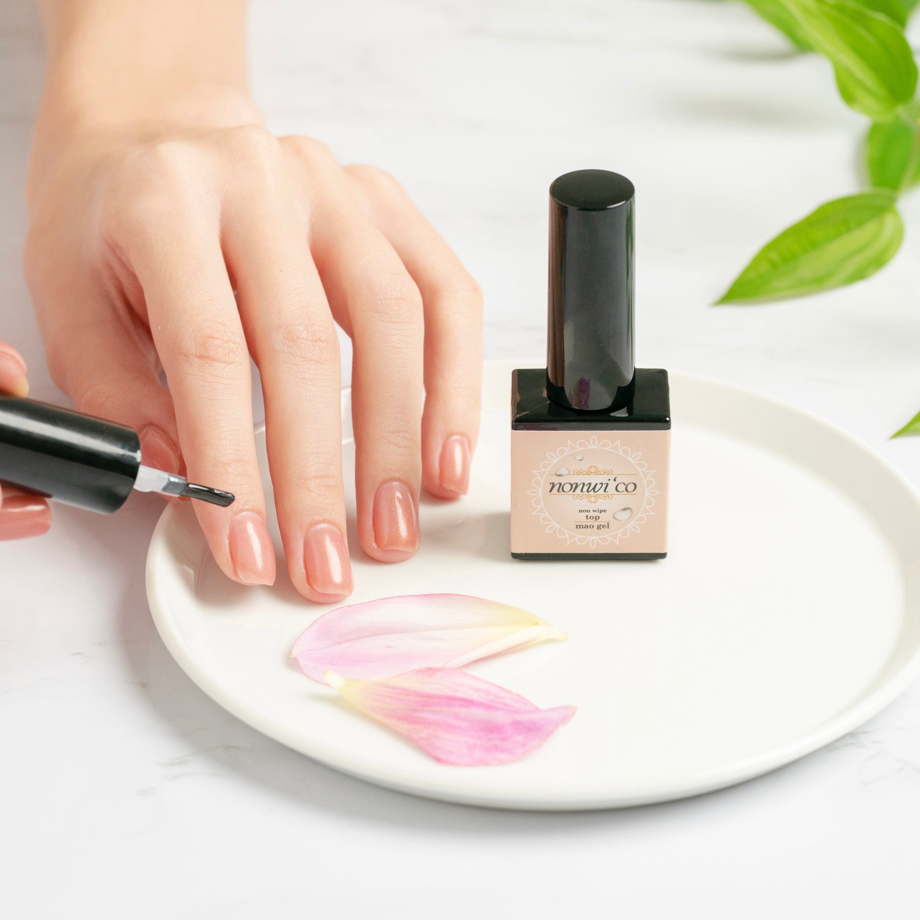 ノンワイプジェル ノンワイコ