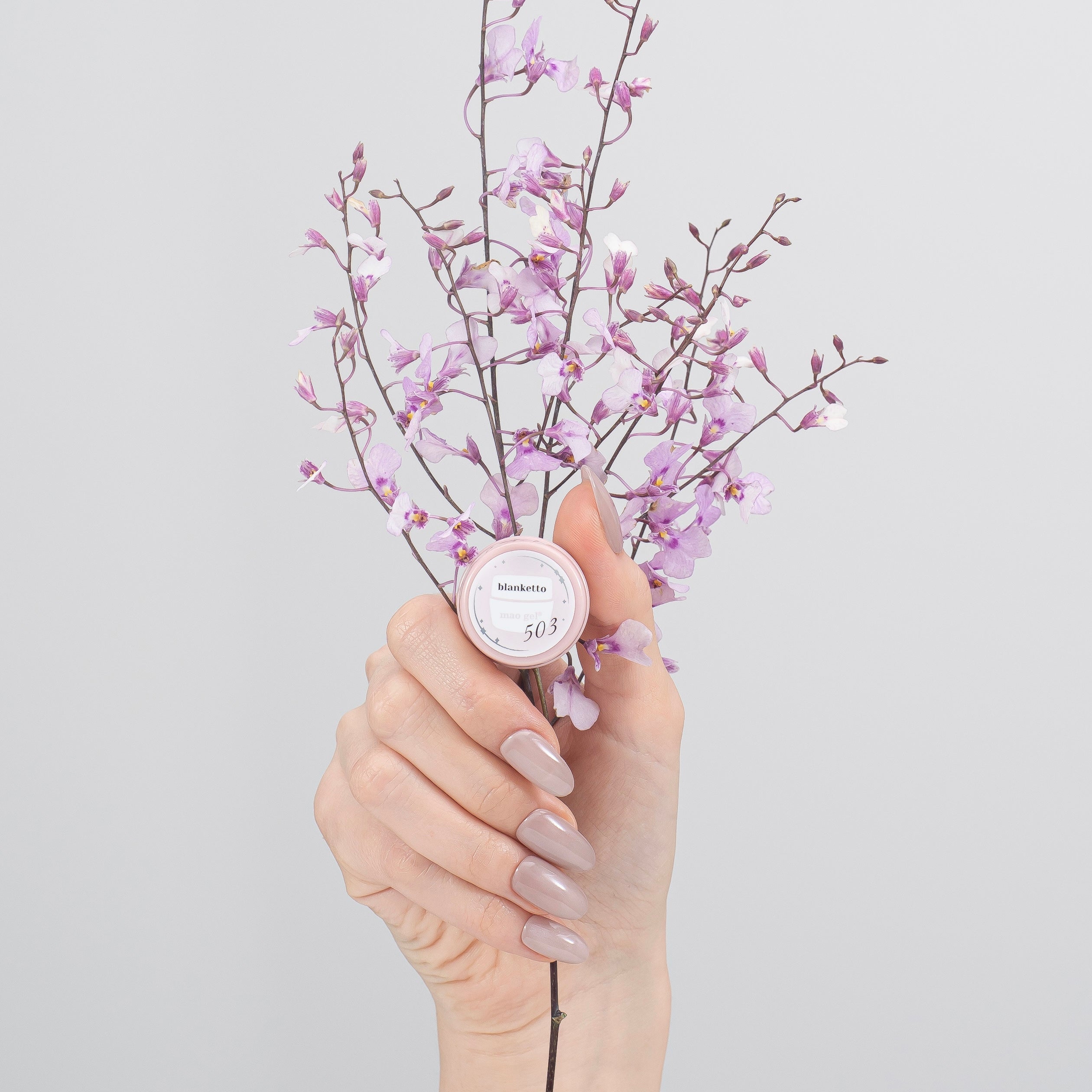 503 blanketto【アウトレット商品】